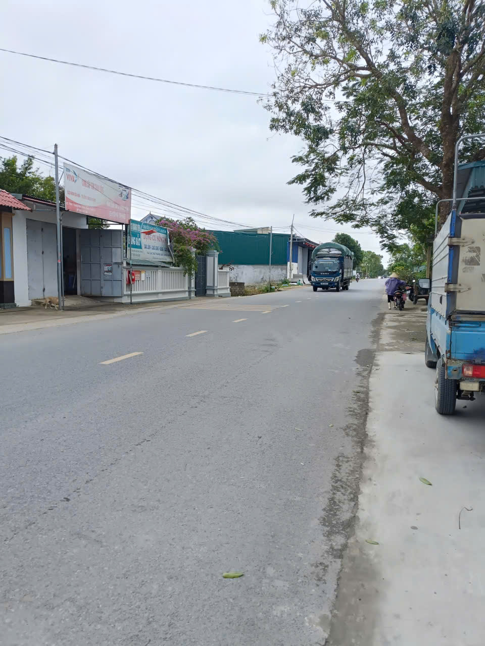 z7186927390126_07c7d77ba85fd21aa9149360ad02b749