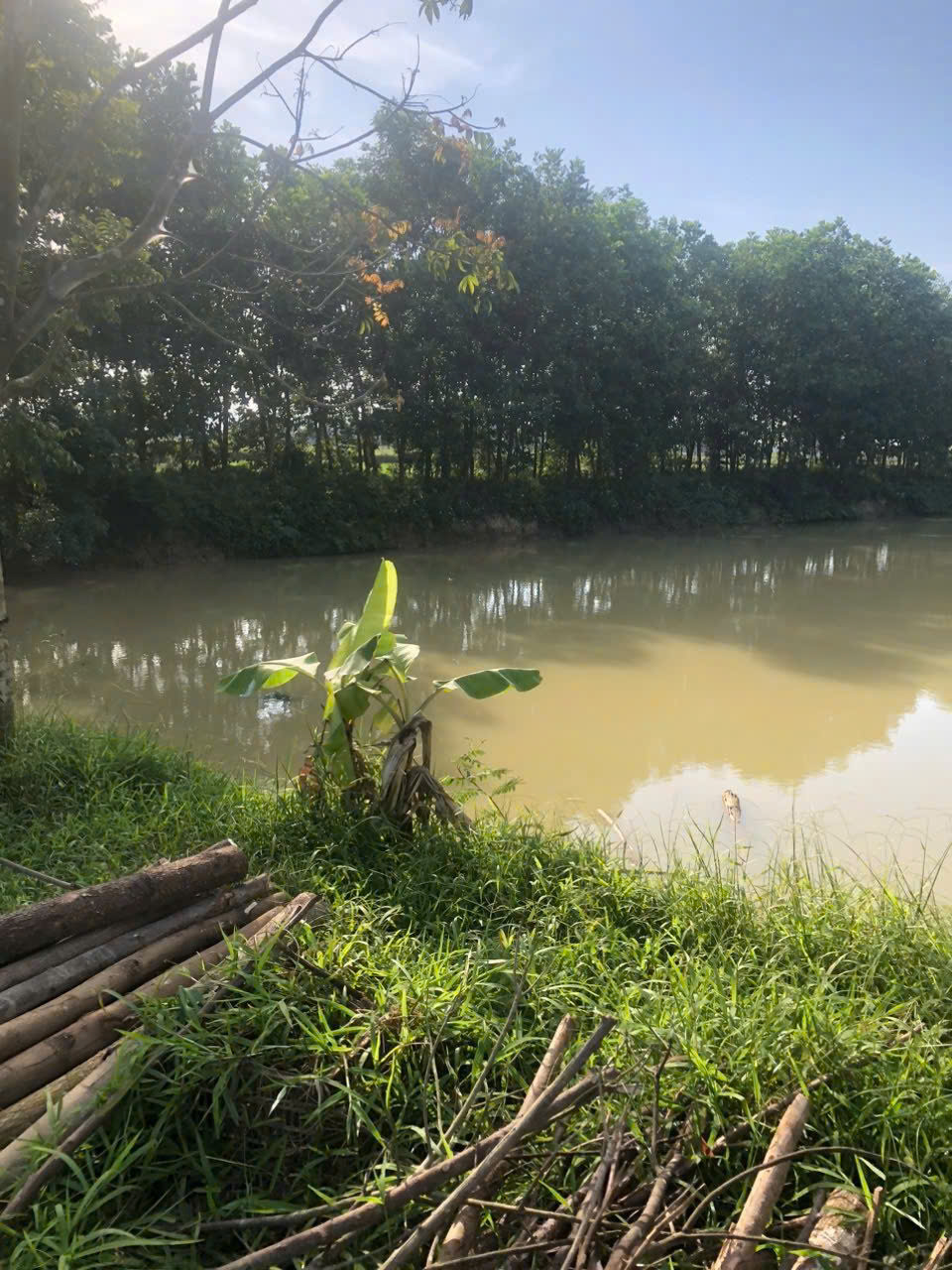 z7274566969577_e89033b21af83478a2f2ed1235fdd4ce