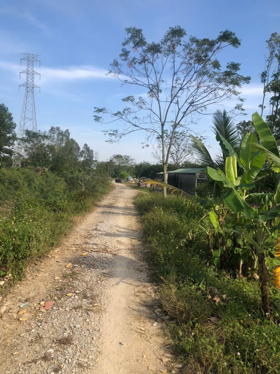 z7274566971429_8f26a49cea7fa85bca28b3d64b2cfe85