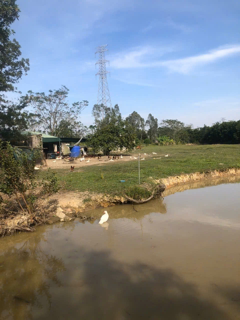 z7274567011528_4958cfbfa6df7c900275294d81f52ab3