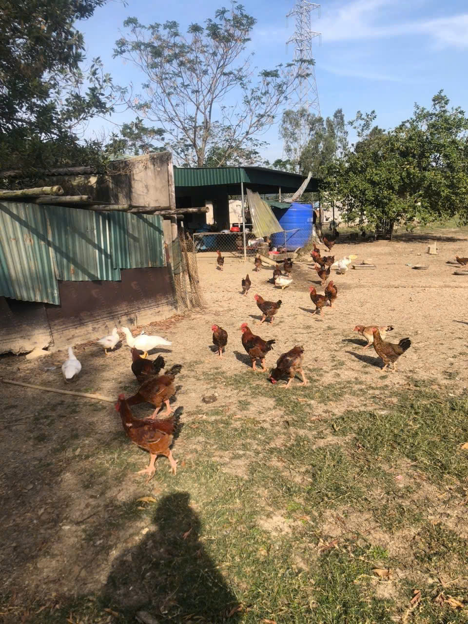 z7274567015592_a06c5f0011ef95bcd685658b06281e58